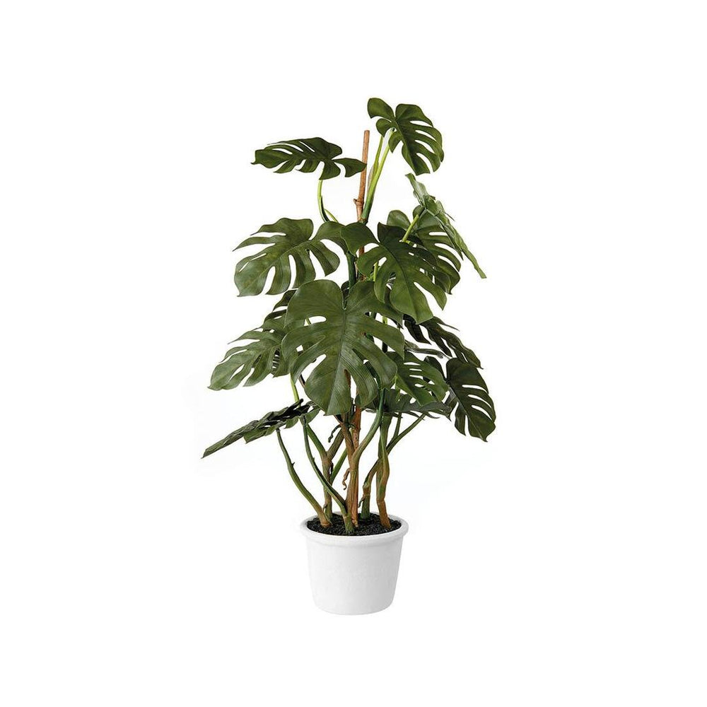 Pianta artificiale Oca Nera Monstera deliciosa