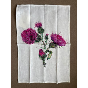 Strofinaccio New Diffusion Cardi
