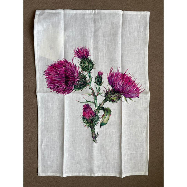 Strofinaccio New Diffusion Cardi