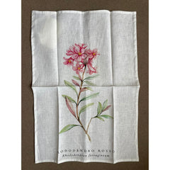 Strofinaccio New Difussion Rododendro