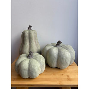 Zucca verde - alta