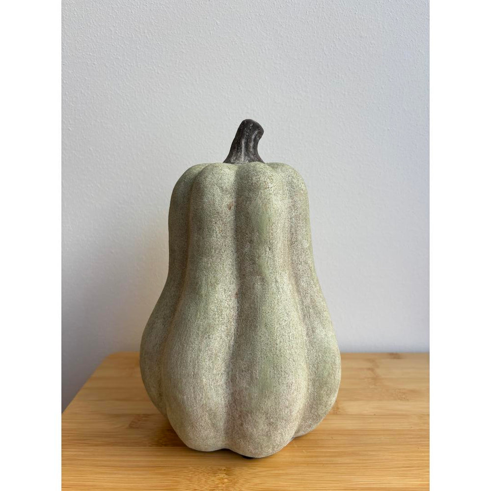Zucca verde - alta