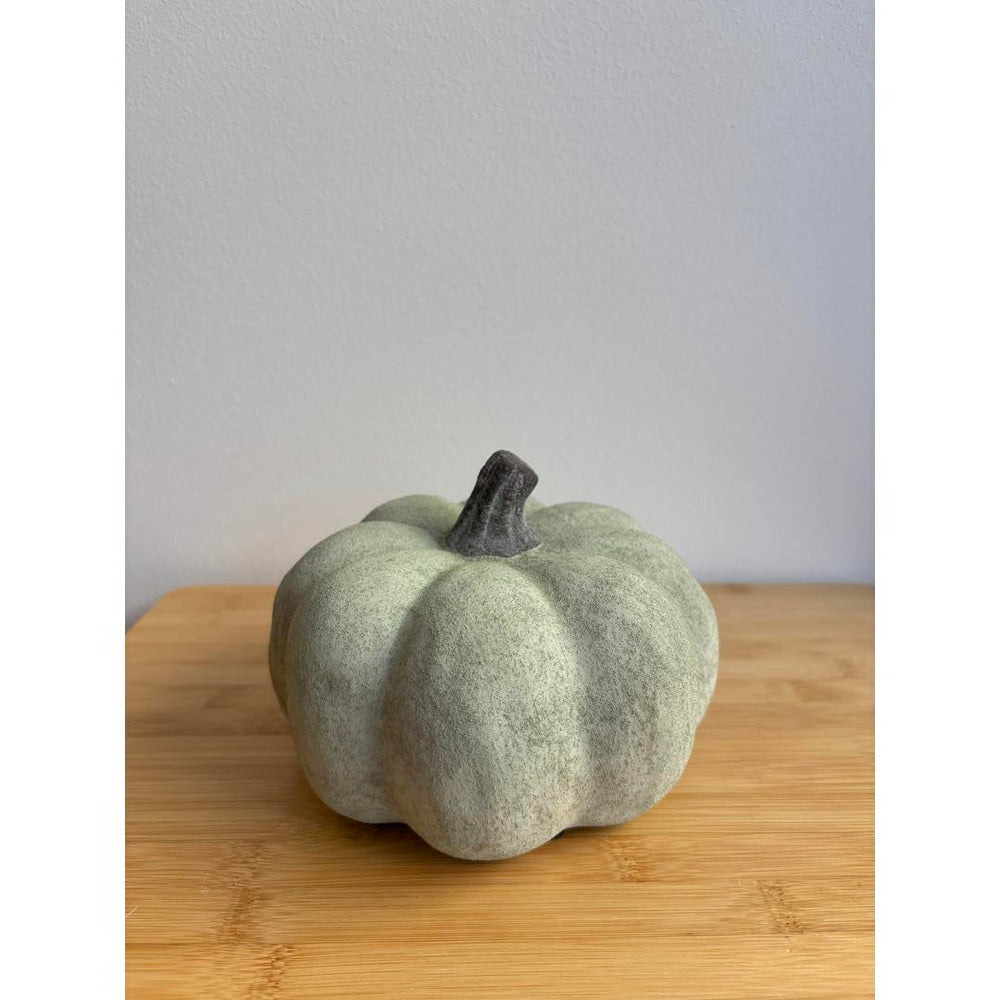 Zucca verde - piccola