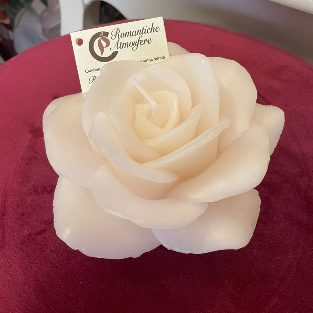 Rosa media Cereria Parma - avorio