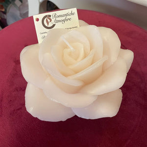 Rosa media Cereria Parma - avorio