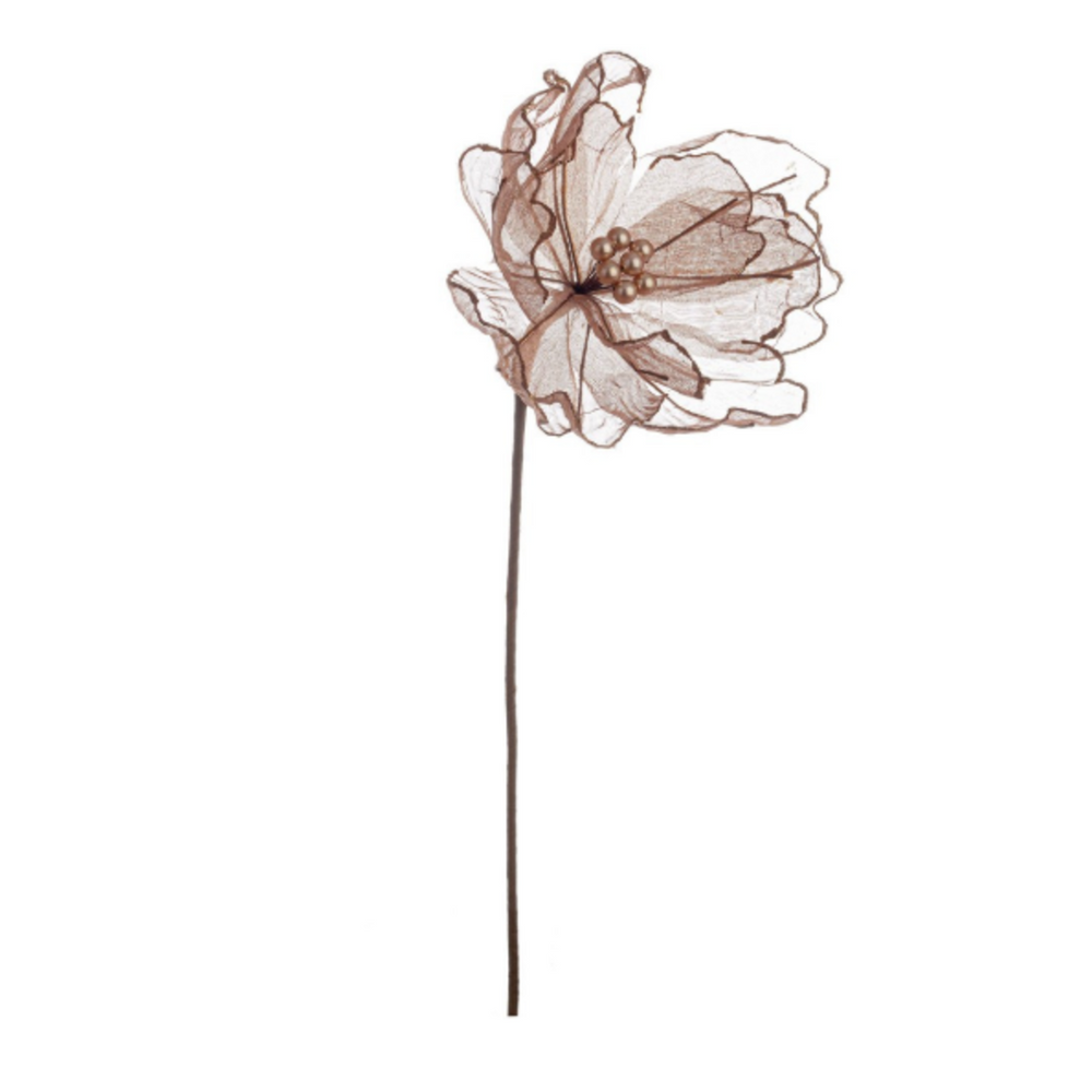 Fiore magnolia per albero Bizzotto marrone