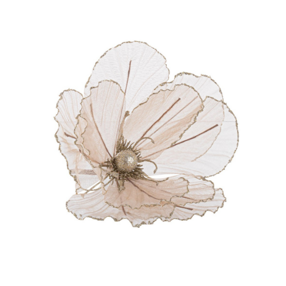 Pick magnolia per albero Bizzotto champagne