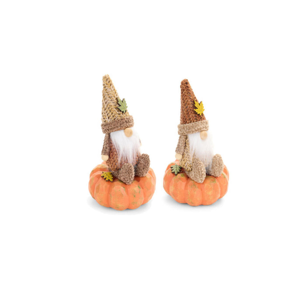 Gnomo su zucca Nuvole di Stoffa