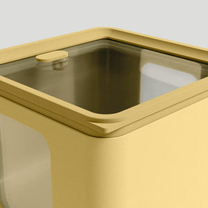 Contenitore peek box Blim Plus - citrus