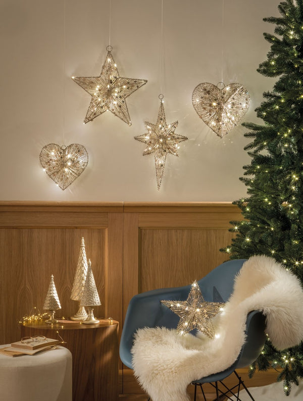 Decorazione con luce a led Oca Nera - cuore piccolo