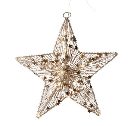 Decorazione con luce a led Oca Nera - stella grande