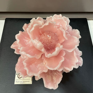 Maxi dalia Cereria Parma - cipria