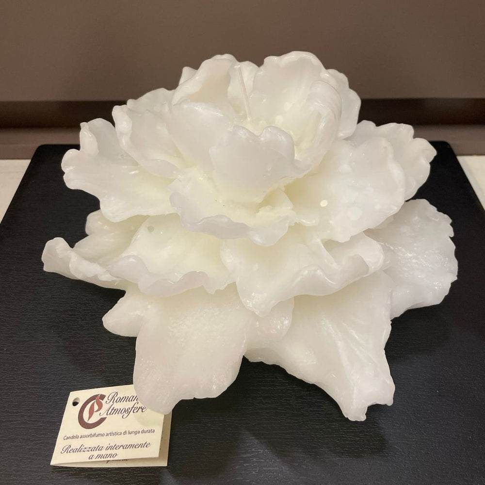 Maxi dalia Cereria Parma - bianca