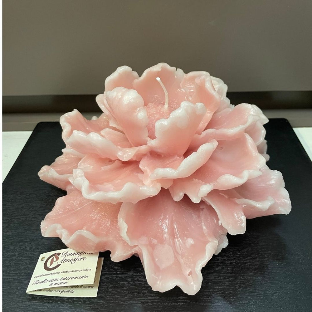 Maxi dalia Cereria Parma - cipria