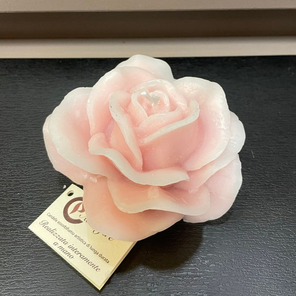 Rosa piccola Cereria Parma - rosa
