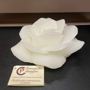 Rosa media Cereria Parma - bianca