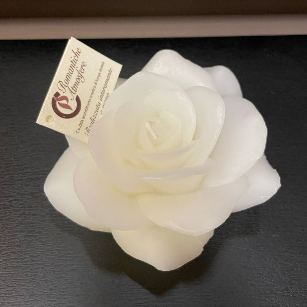 Rosa media Cereria Parma - bianca