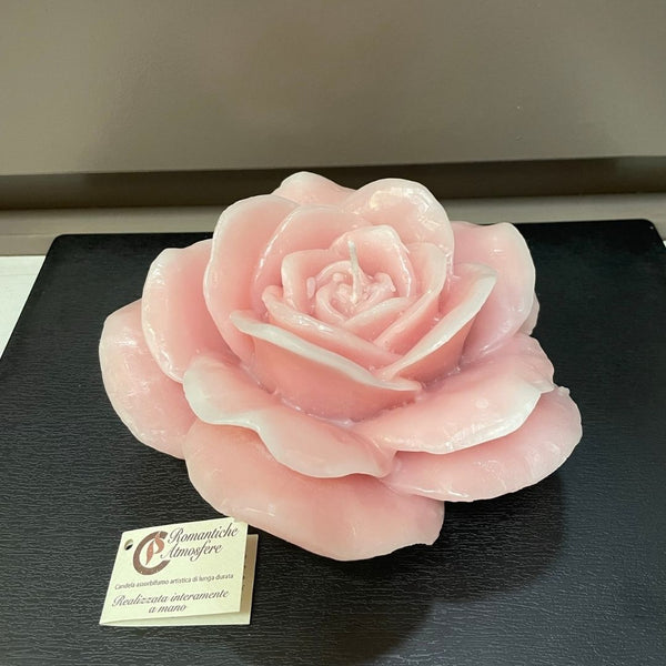 Rosa tea Cereria Parma - cipria