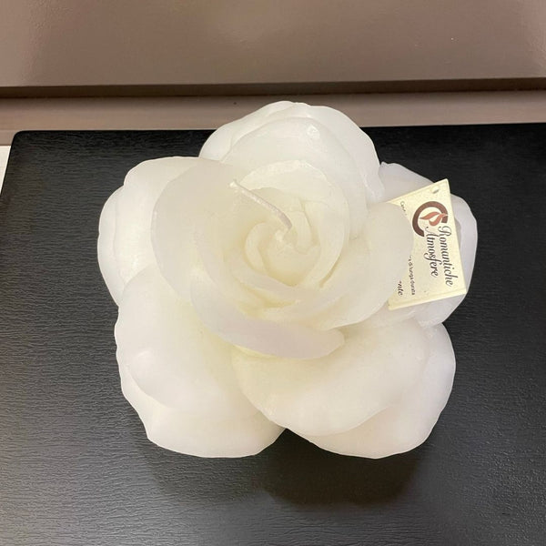 Rosa tea Cereria Parma - bianca